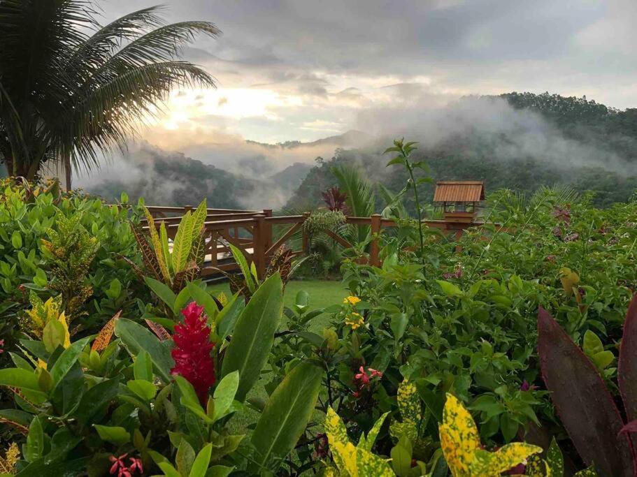 Casa Nas Montanhas Em Domingos Martins Villa Eksteriør billede